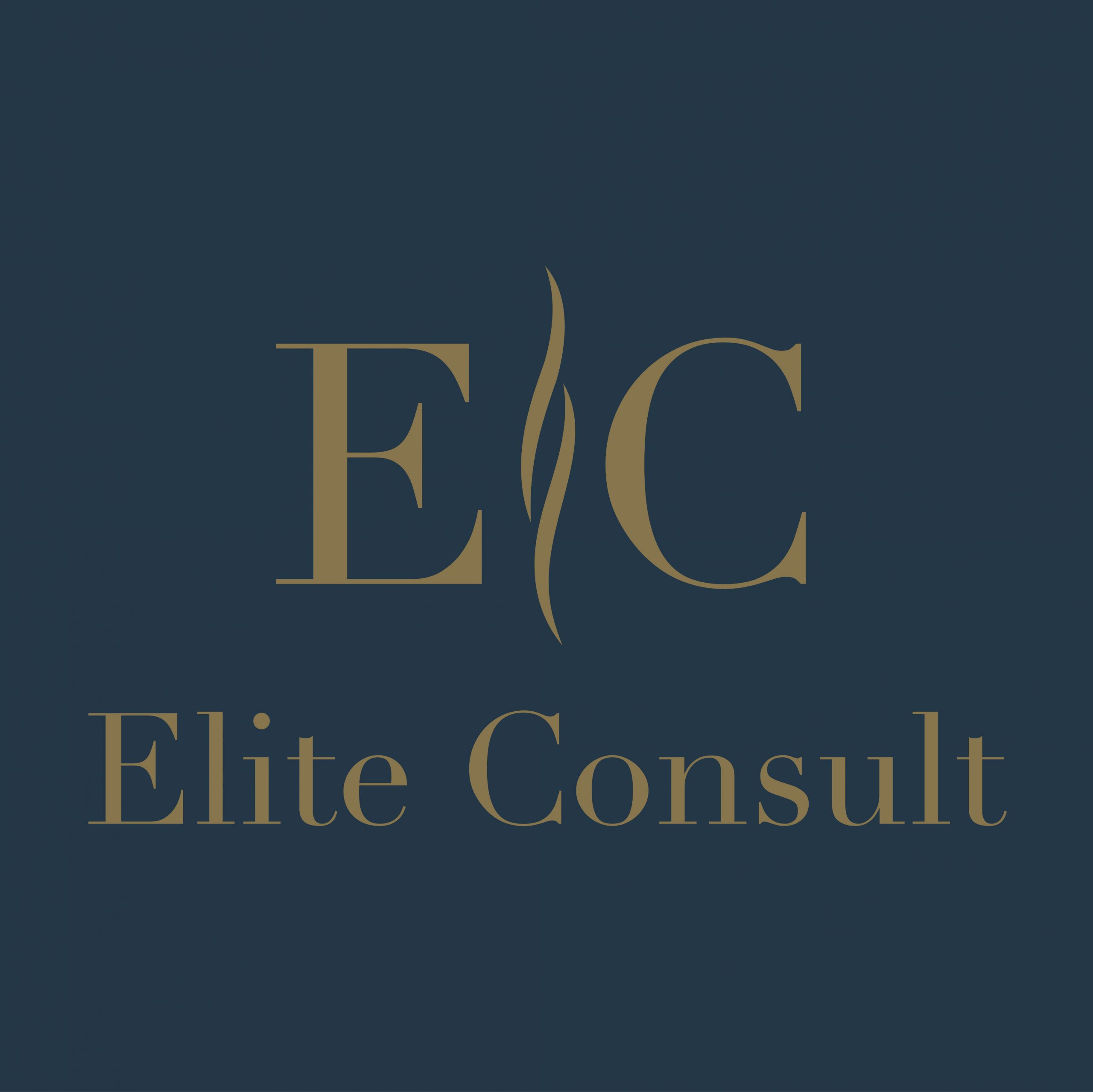 Elite Consult Group Ltd